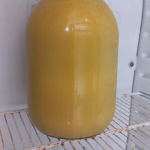 Qubadan xarlandırılmış meşə balı 4.5kq